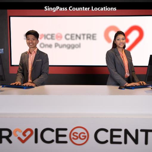 SingPass Counters