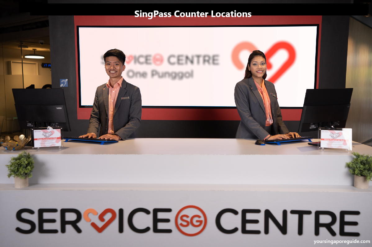 SingPass Counters