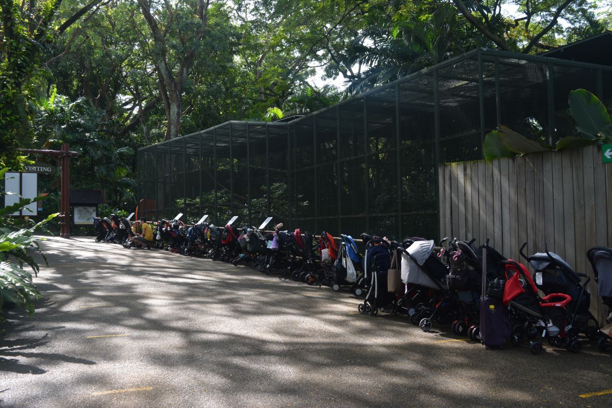 Baby-Stroller-Parking-at-Jurong-Park-Singapore