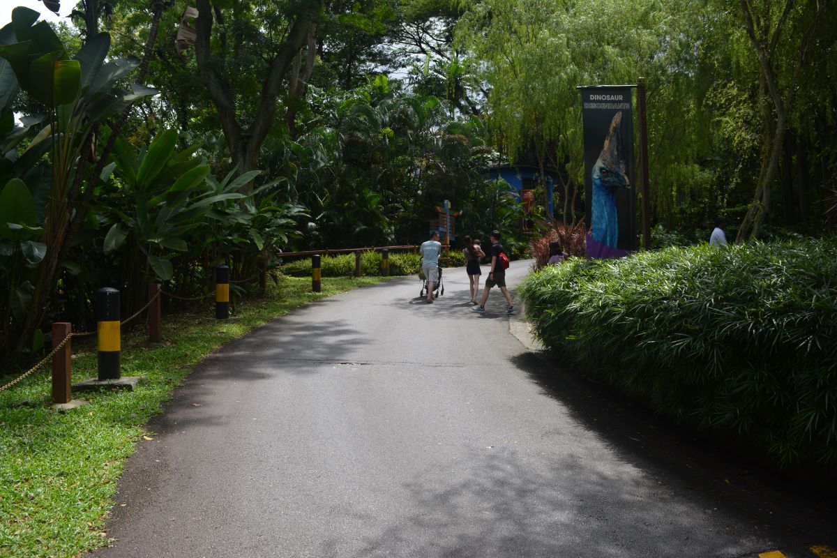 Dinosaur-Decendants-Cassowary-Casque-at-Jurong-Bird-Park-Singapore