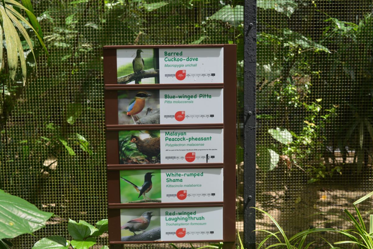 Pathway-Board-at-Jurong-Bird-Park-Singapore