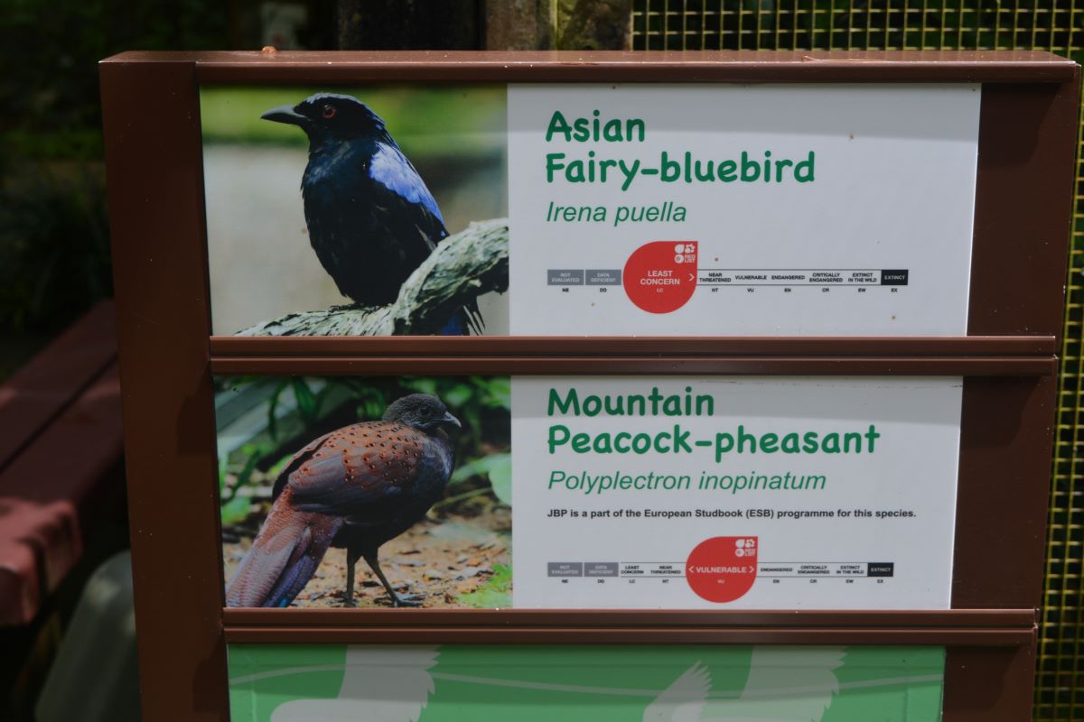 Pathway-Board-at-Jurong-Bird-Park-Singapore