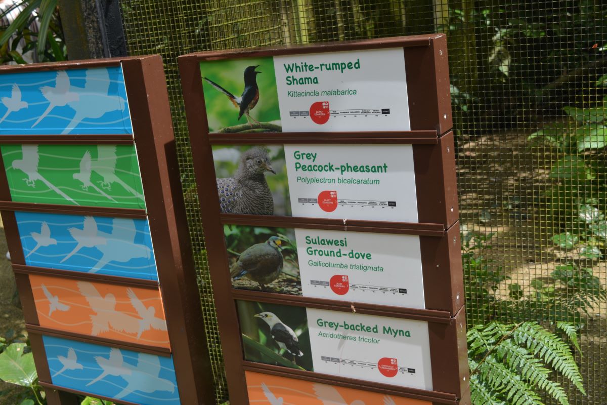 Pathway-Board-at-Jurong-Bird-Park-Singapore