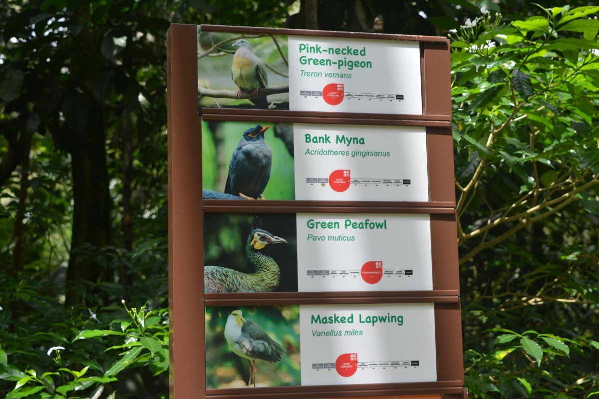 Pathway-Board-at-Jurong-Bird-Park-Singapore