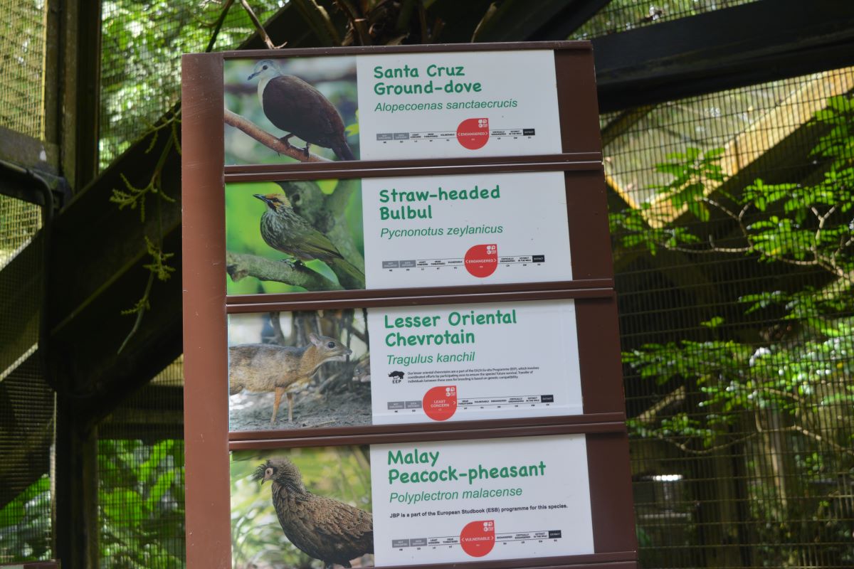 Pathway-Board-at-Jurong-Bird-Park-Singapore