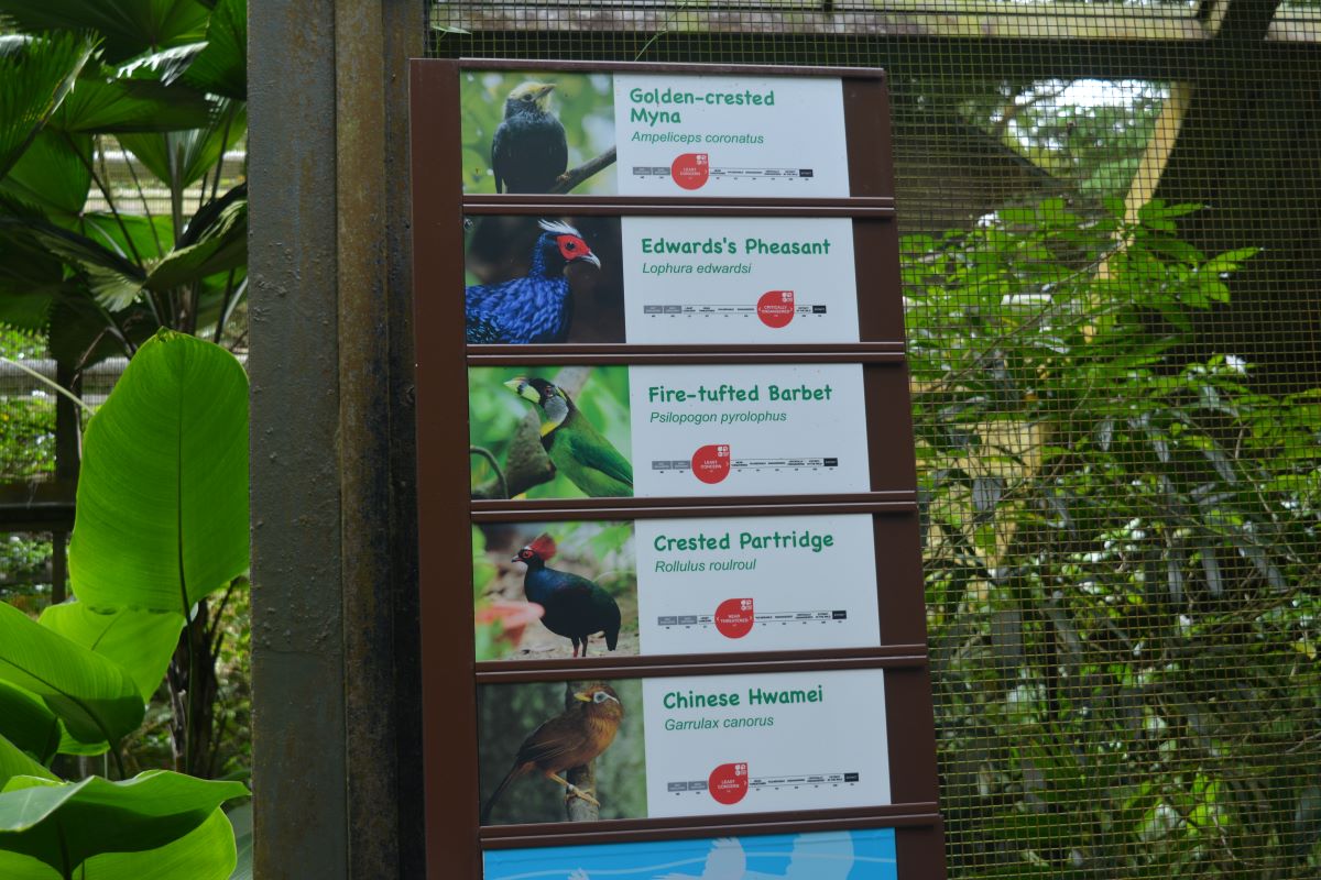 Pathway-Board-at-Jurong-Bird-Park-Singapore
