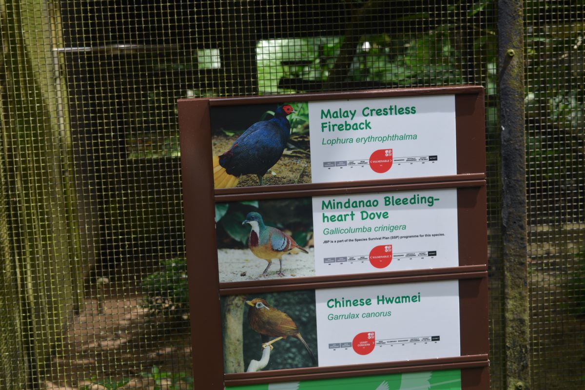 Pathway-Board-at-Jurong-Bird-Park-Singapore