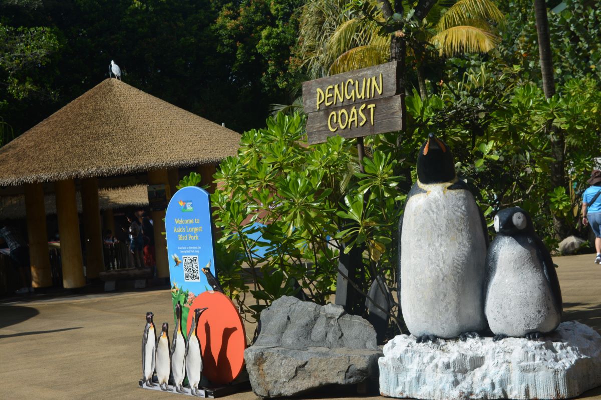 Penguin-Coast-at-Jurong-Bird-Park-Singapore