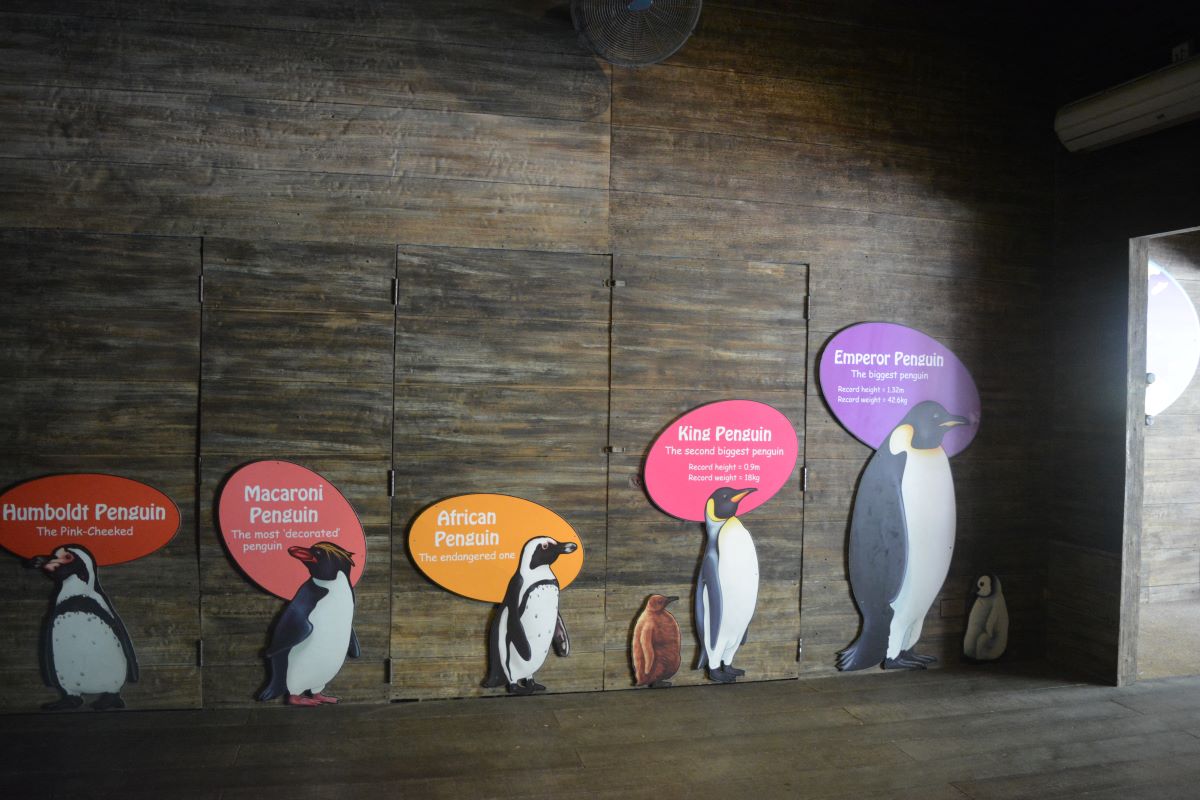 Penguin-Coast-image-at-Jurong-Bird-Park-Singapore