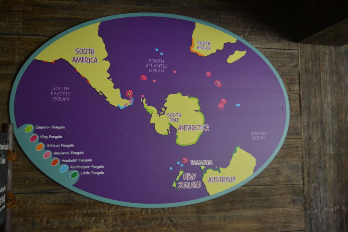 Penguin-information-at-Jurong-Park-Singapore