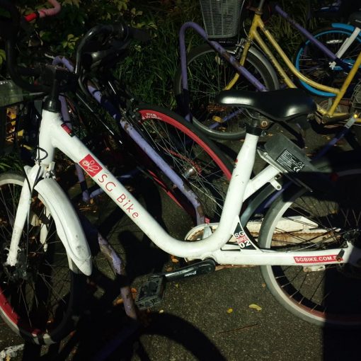 SG-Bike-Gardens-By-the-Bay-Singapore