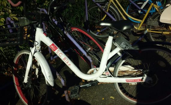 SG-Bike-Gardens-By-the-Bay-Singapore