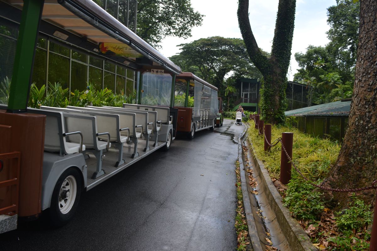 Tram-at-Jurong-Park-Singapore