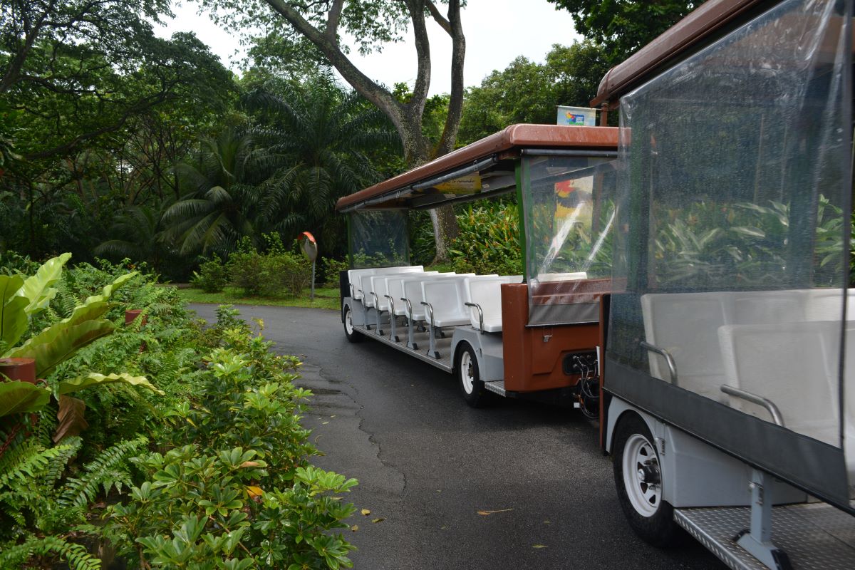 Tram-at-Jurong-Park-Singapore