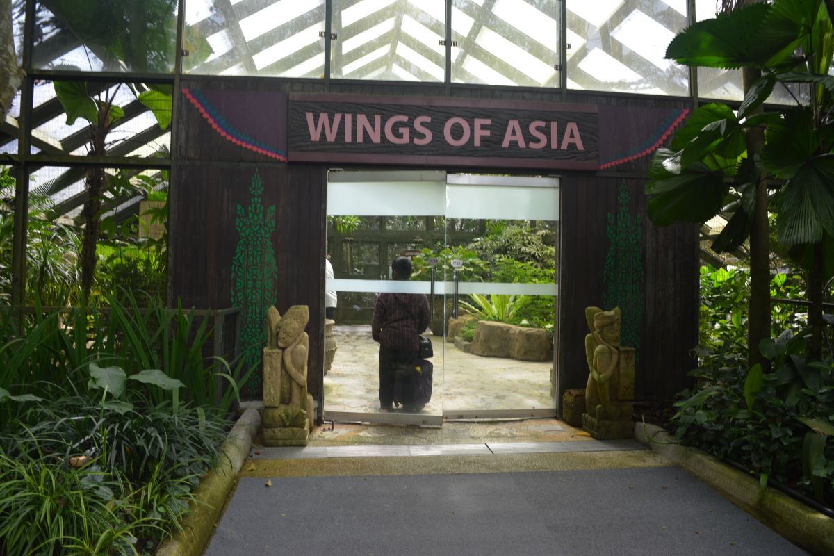 Wings-of-Asia-at-Jurong-Bird-Park-Singapore
