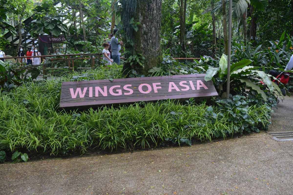 Wings-of-Asia-pathway-at-Jurong-Bird-Park-Singapore
