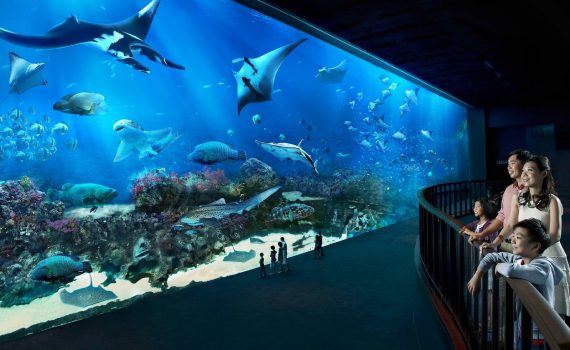 SEA Aquarium Singapore