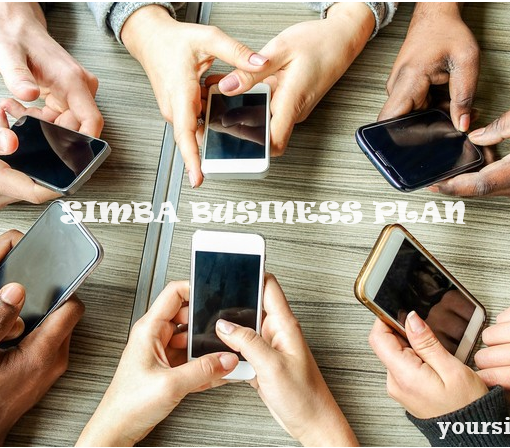 SIMBA Business Plan