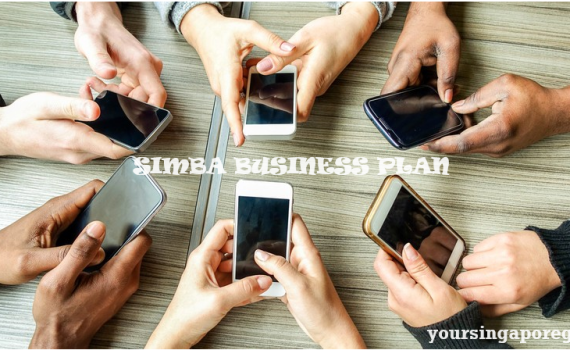 SIMBA Business Plan