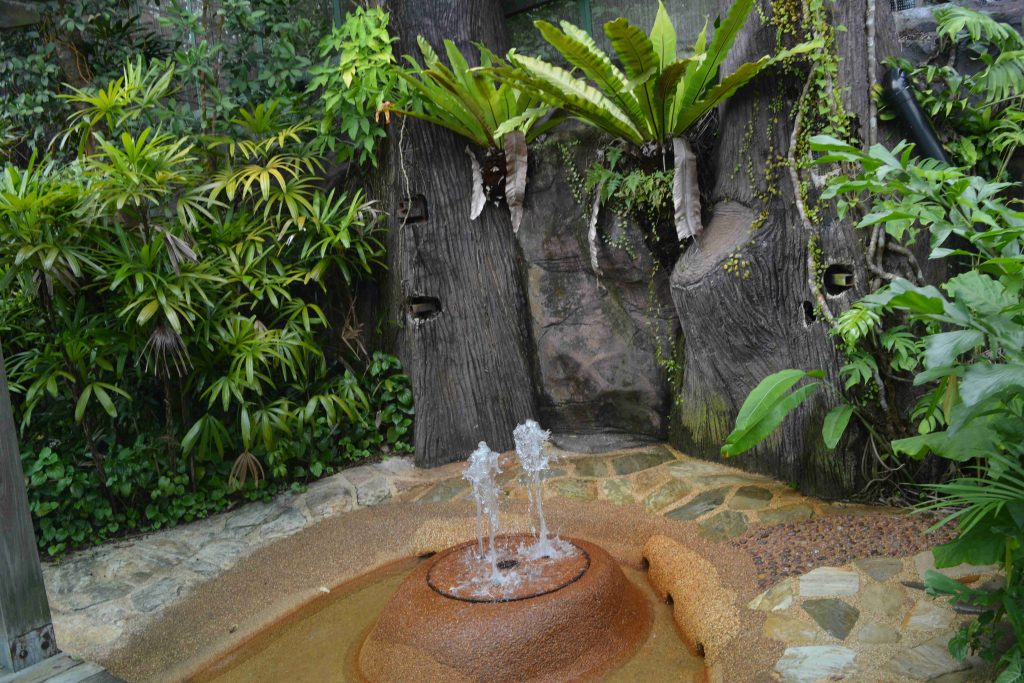 Singapore Cable car small Fountain