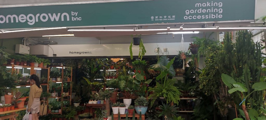 China Town Home grown shop in Singapore
