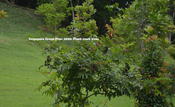 Singapore Green Plan 2030