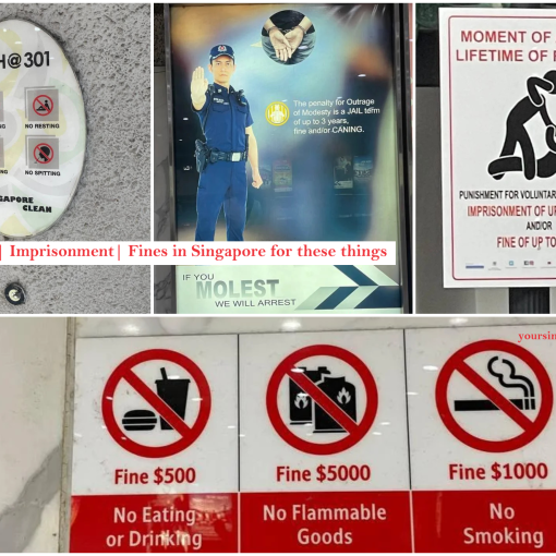 No smoking-eating-Drinking-flammable goods-Anger-Metro-Molest-Prohibitions in Singapore