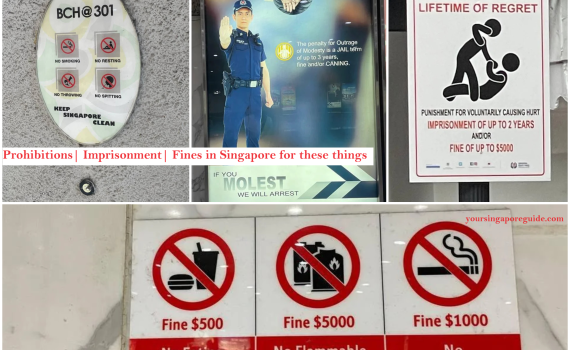 No smoking-eating-Drinking-flammable goods-Anger-Metro-Molest-Prohibitions in Singapore