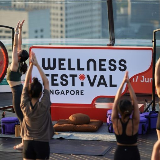 Wellness Festival