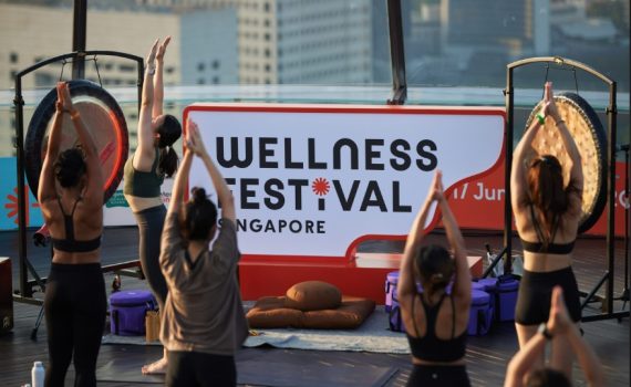 Wellness Festival
