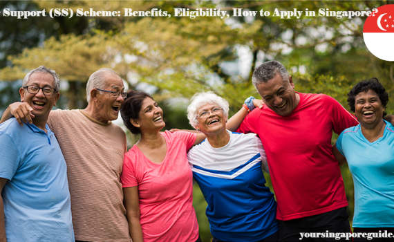 Silver Support (SS) Scheme, Singapore