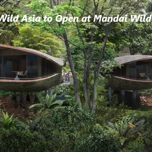 Rainforest Wild Asia to Open at Mandai Wildlife Reserve, Singapore