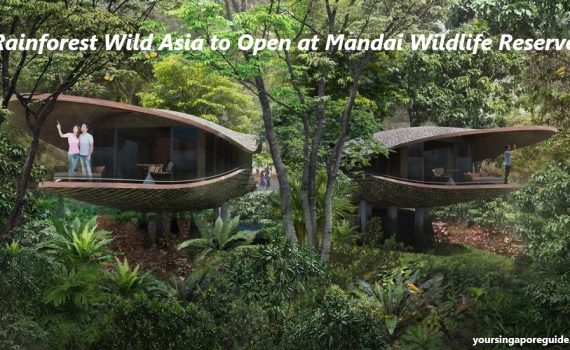 Rainforest Wild Asia to Open at Mandai Wildlife Reserve, Singapore