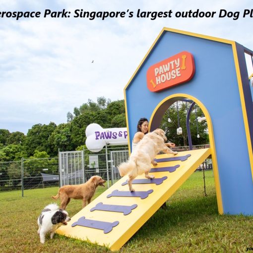 Seletar Aerospace Park Dog playground.1