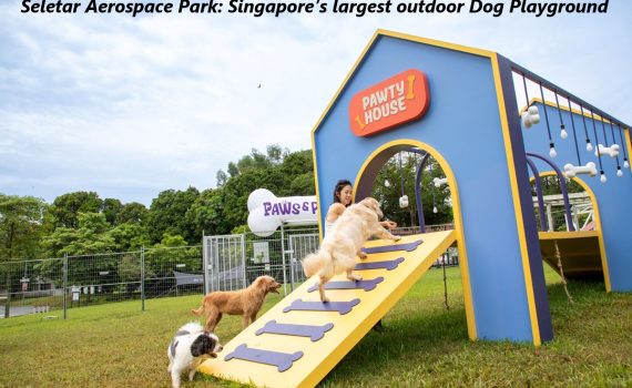 Seletar Aerospace Park Dog playground.1
