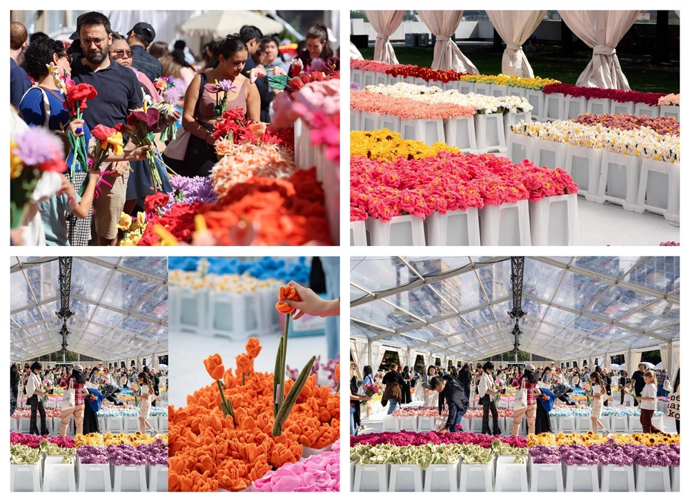 CJ Hendry Plush Flower Market